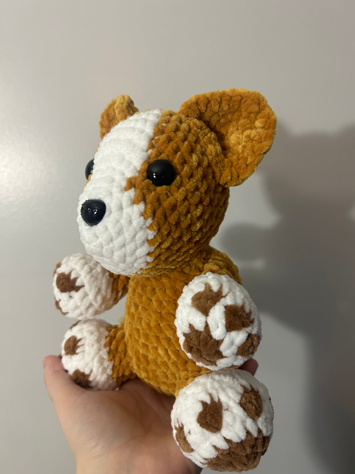 Corgi