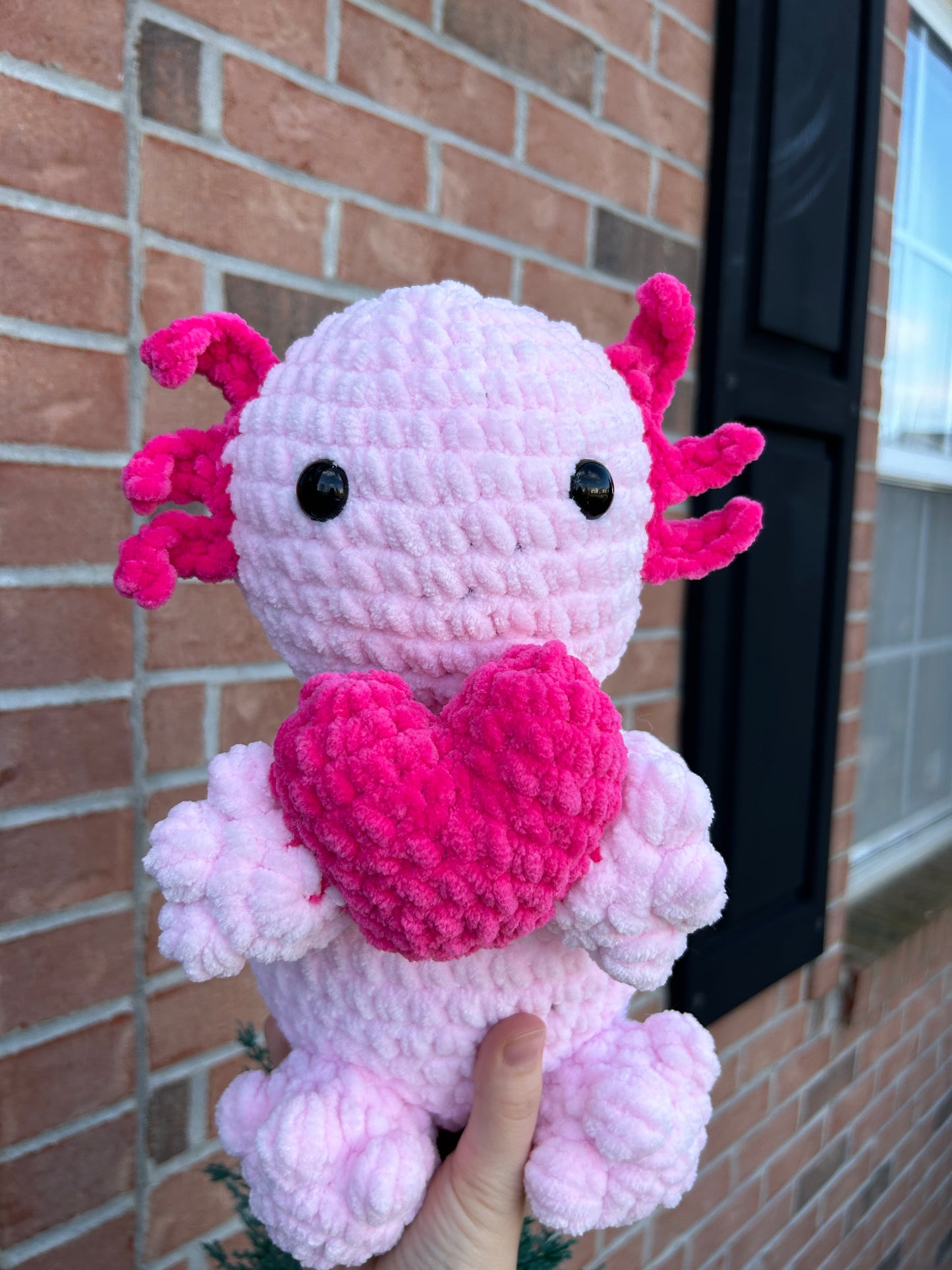 Jumbo axolotl