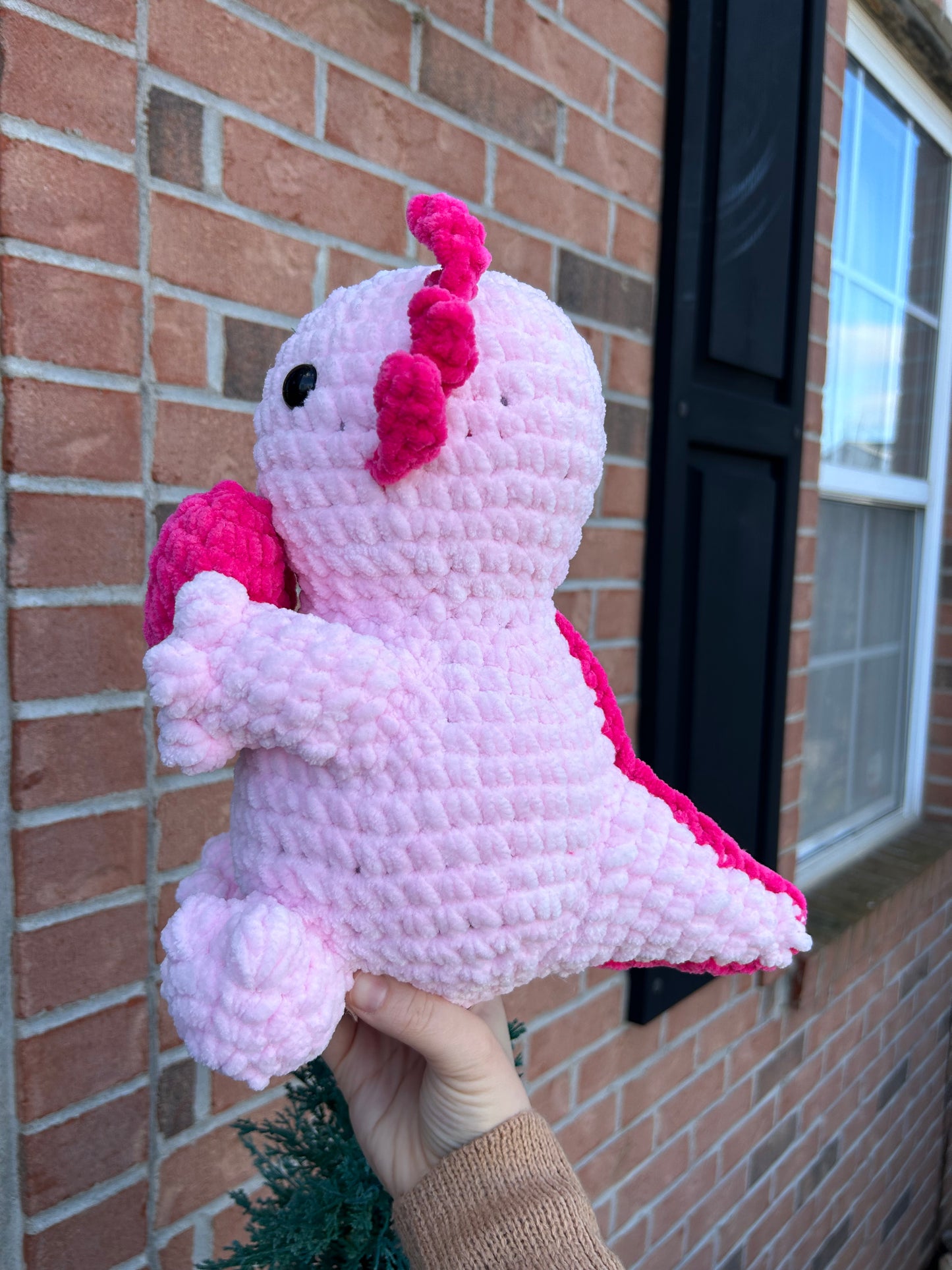 Jumbo axolotl