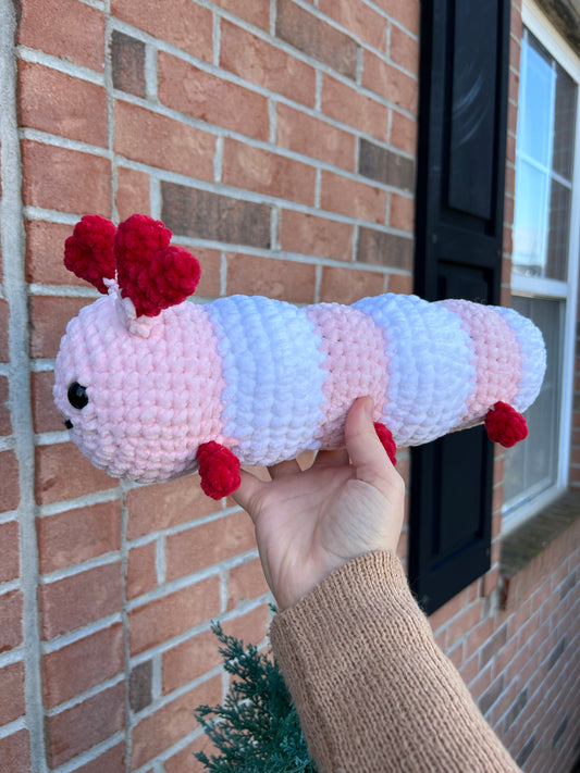Love caterpillar