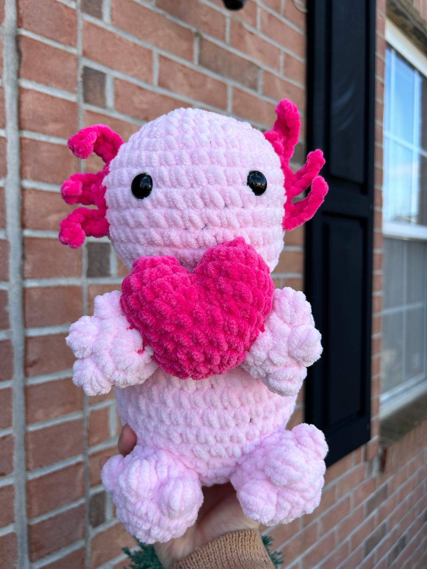 Jumbo axolotl