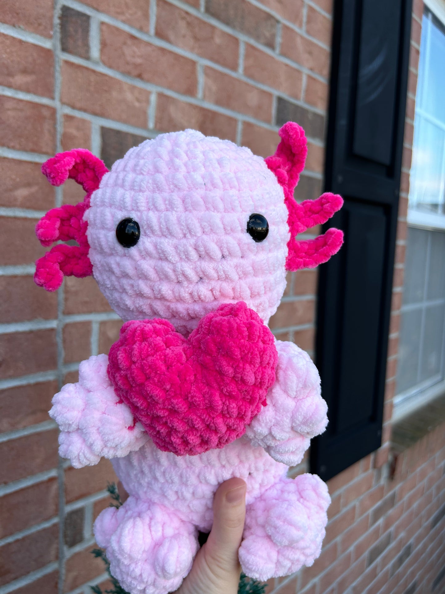 Jumbo axolotl