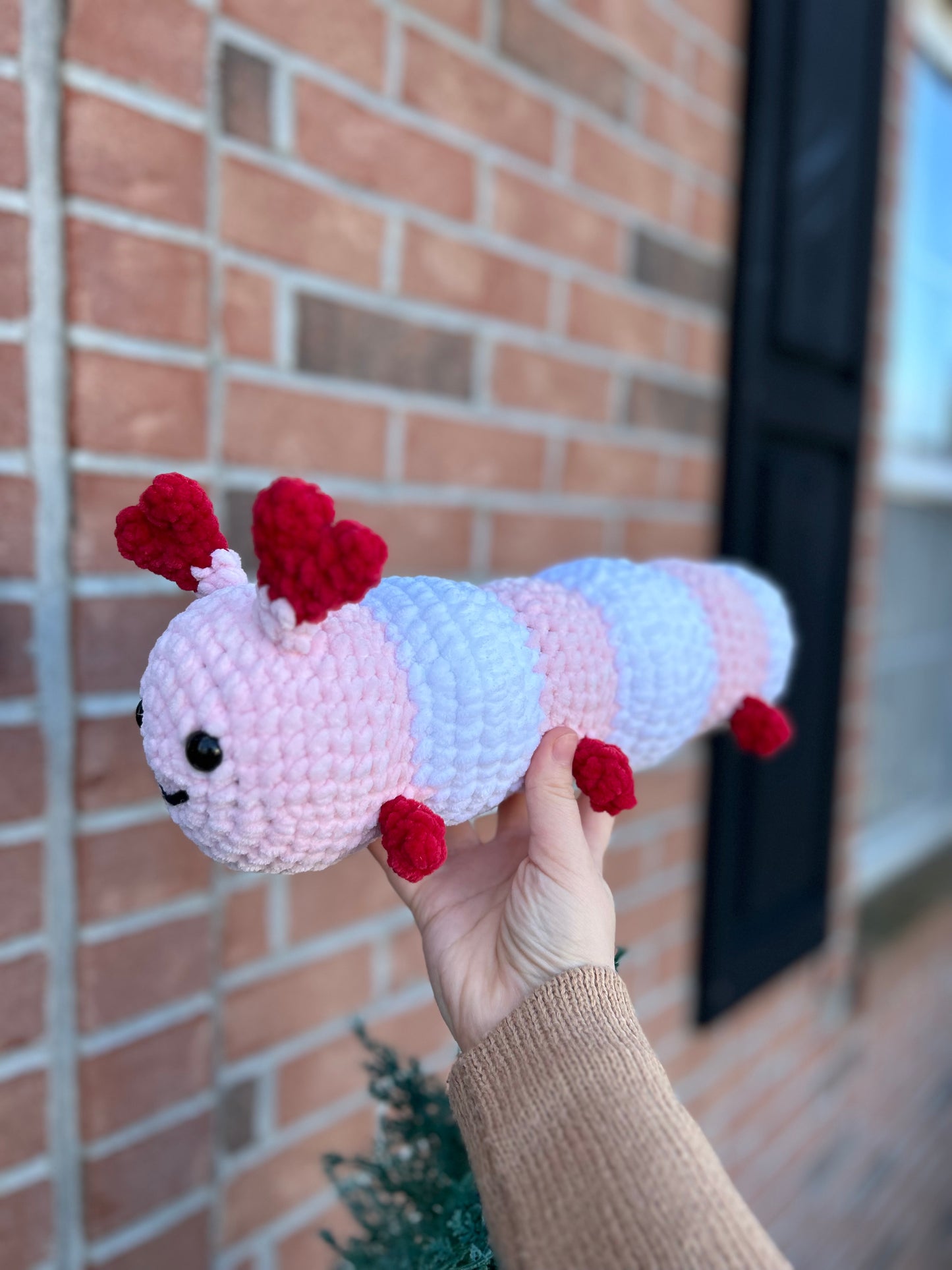 Love caterpillar