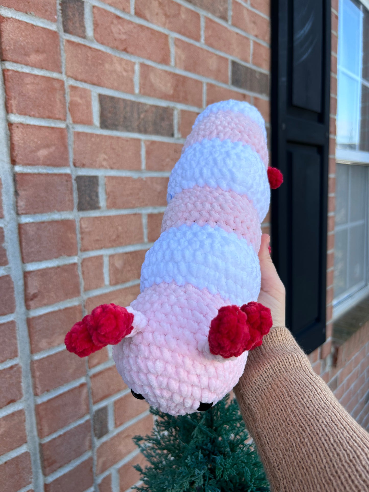 Love caterpillar