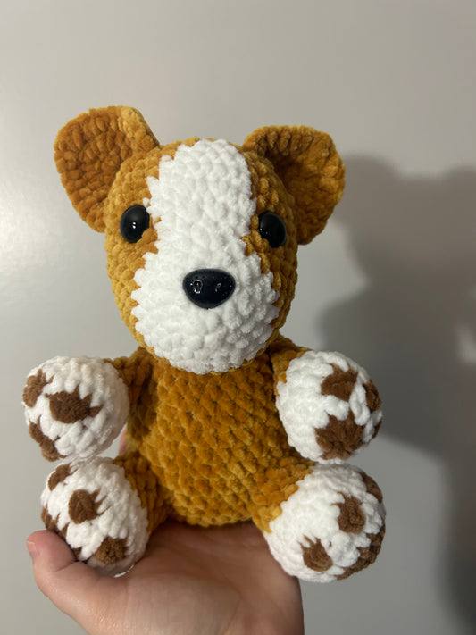 Corgi