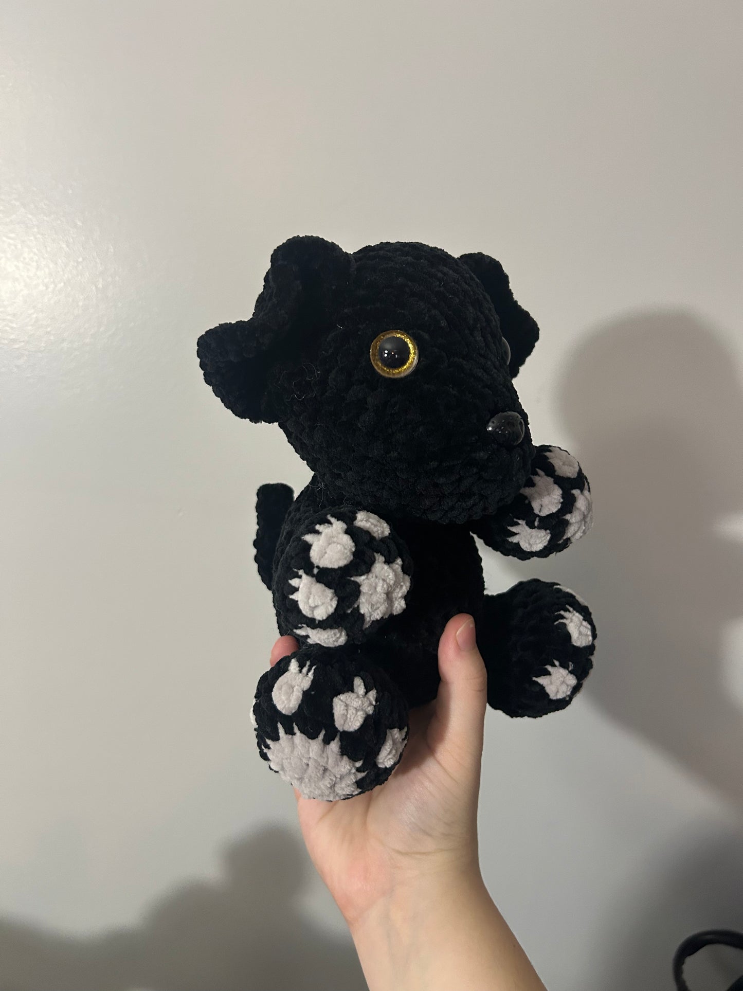 Black lab