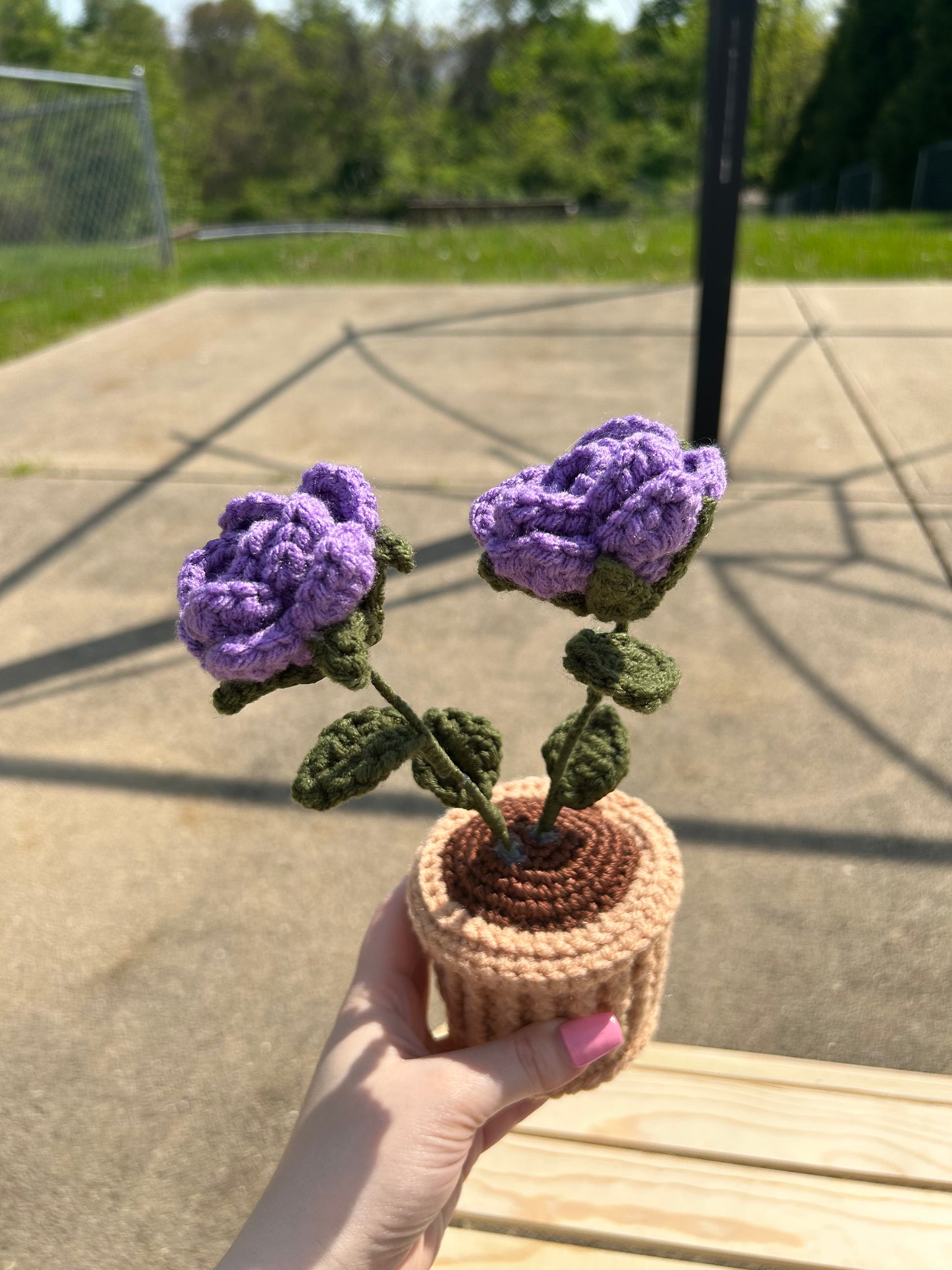 Purple Potted Flowers- Made to Order