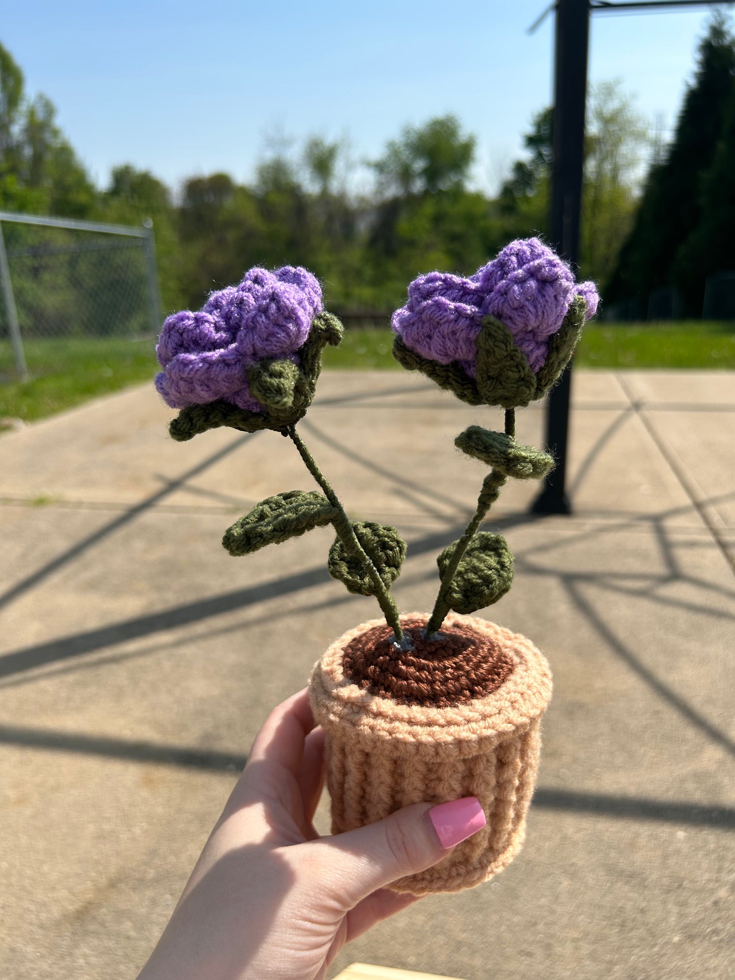 Purple Potted Flowers- Made to Order