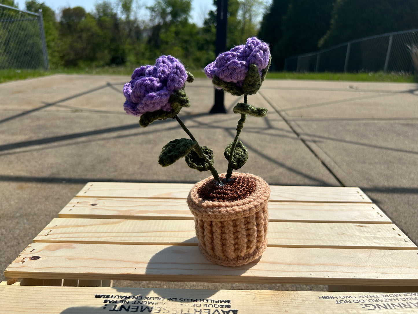 Purple Potted Flowers- Made to Order
