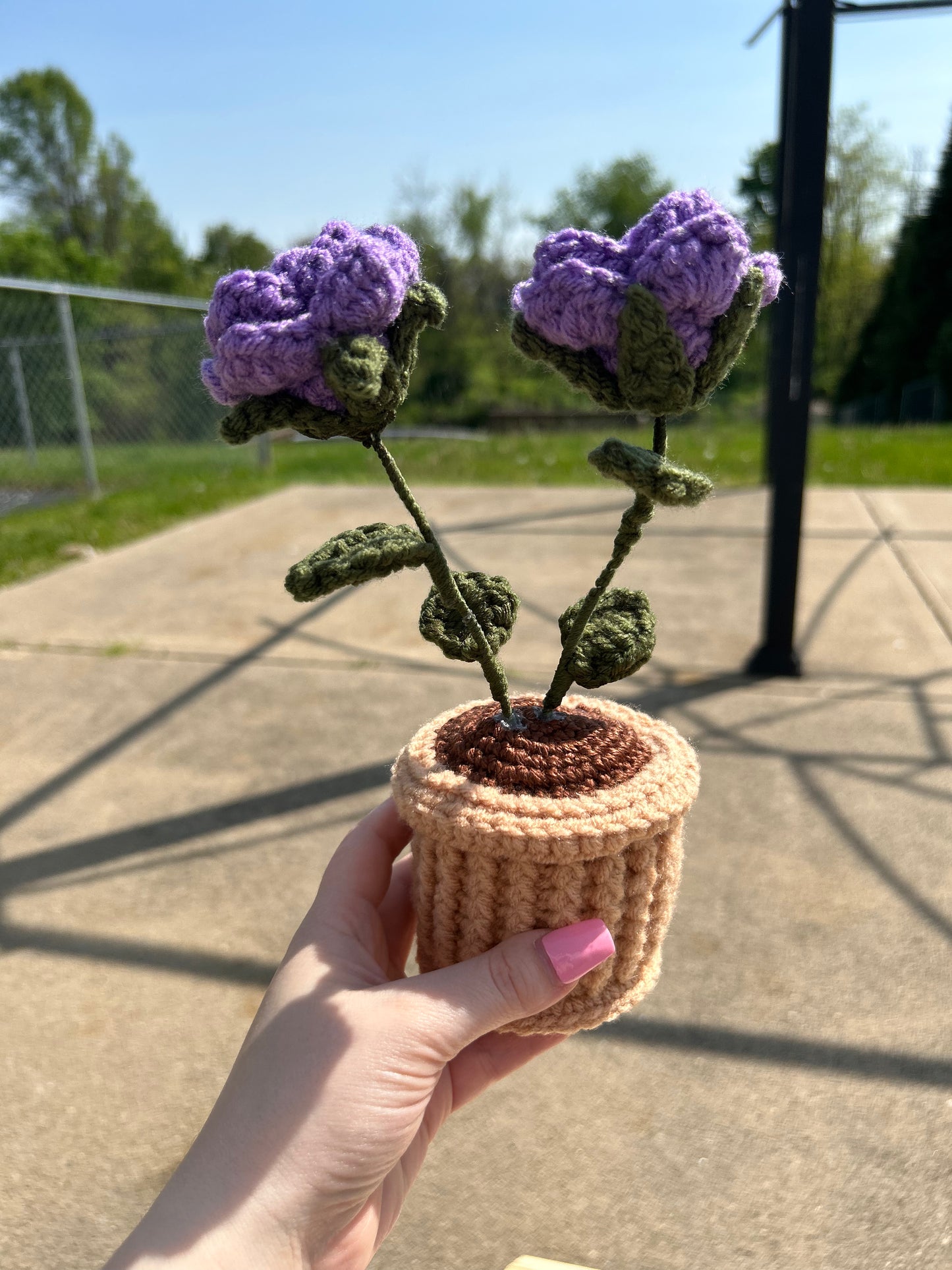 Purple Potted Flowers- Made to Order